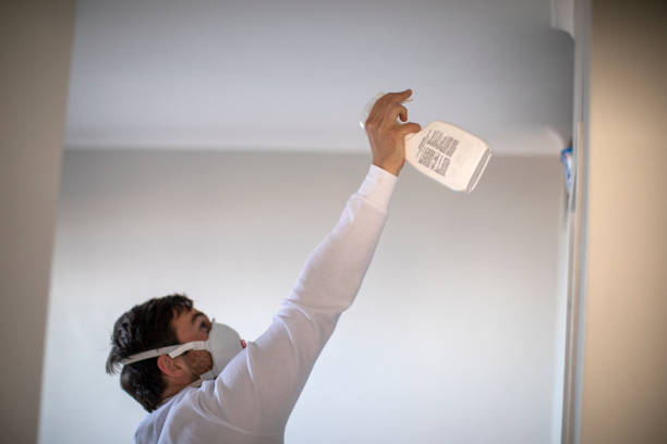 Best Affordable Mold Removal  in West Covina, CA