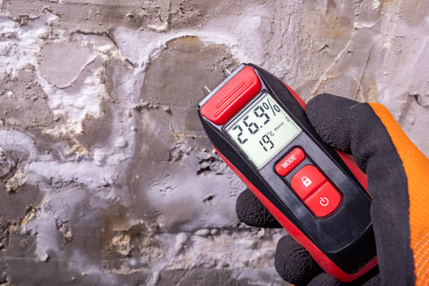 Office Mold Removal Services in West Covina, CA