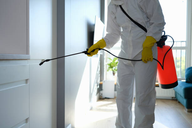 Best Best Mold Removal Companies  in West Covina, CA
