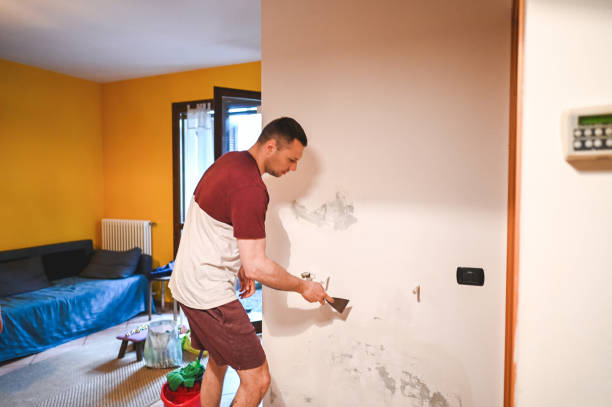 Best Mold Damage Repair  in West Covina, CA