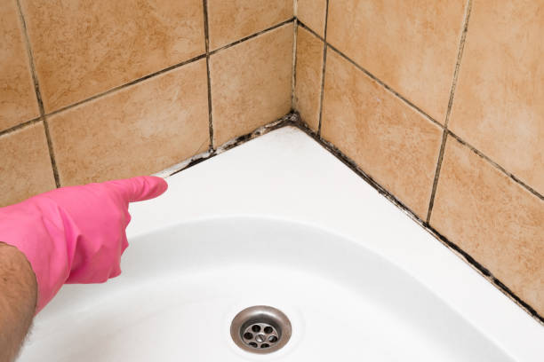 Best Mold Testing  in West Covina, CA